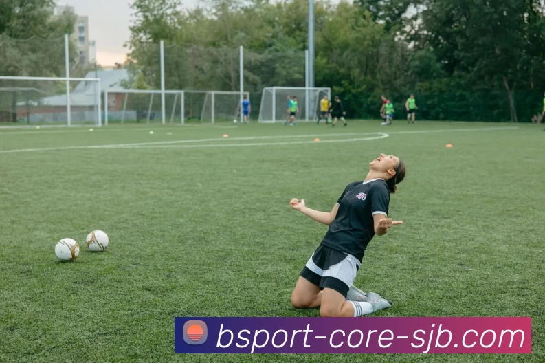 kaiyun，开云网站，开云官网，开云体育官方网站平台生态图