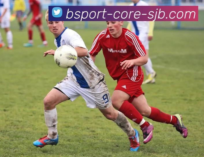 kaiyun，开云网站，开云官网，开云体育官方网站APP 封面图